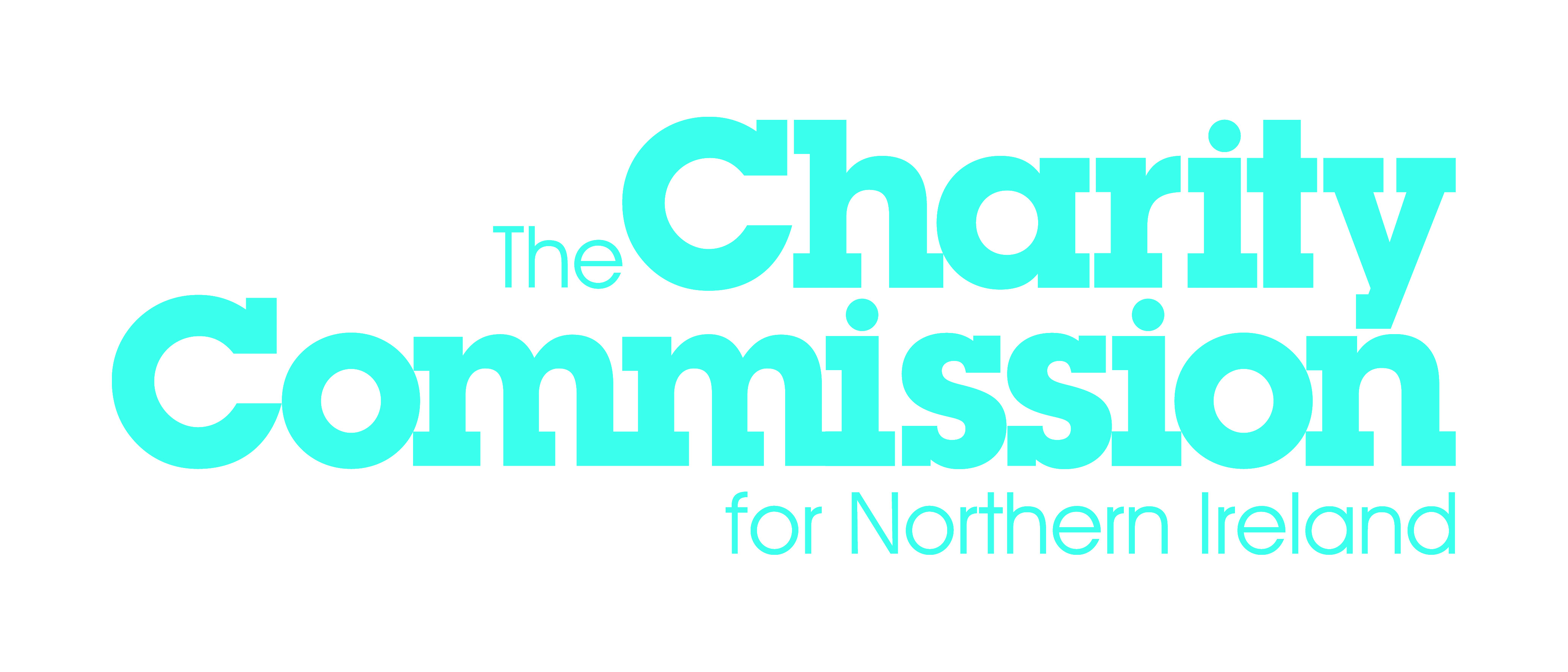 Charity Commission for Northern Ireland consultation event: Annual Monitoring Return 2018