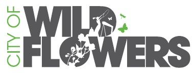 Grow Wild and City of Wildflowers training and networking event