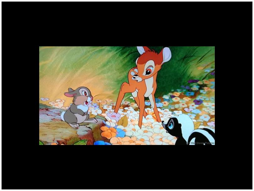 Cinemagic July Movies at the Museum presents Bambi