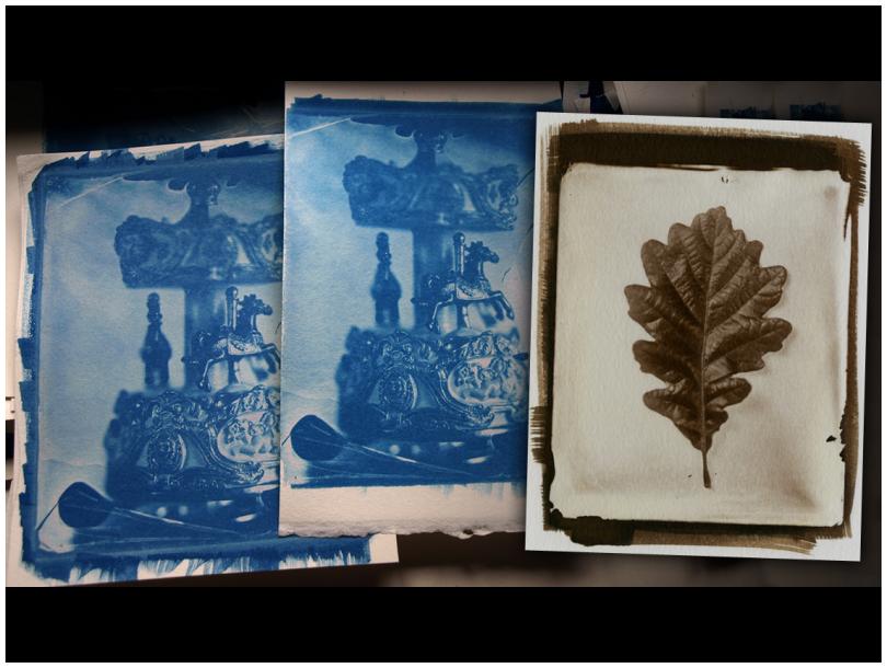 Focus On: Cyanotype & Van Dyke Brown Printing