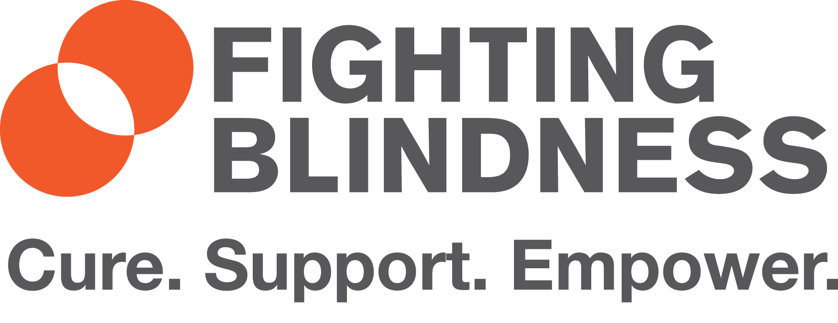 Fighting Blindness logo