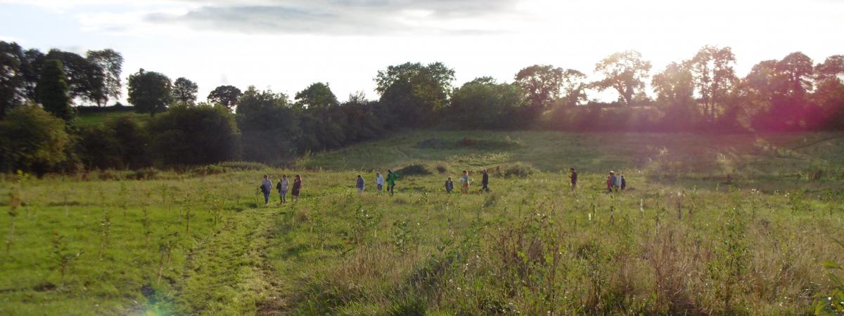 Seppy's Wood in County Armagh. Photo courtesy of Dr Sally Walmsley