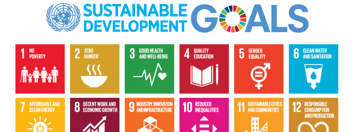A diagram listing the 17 Sustainable Development Goals