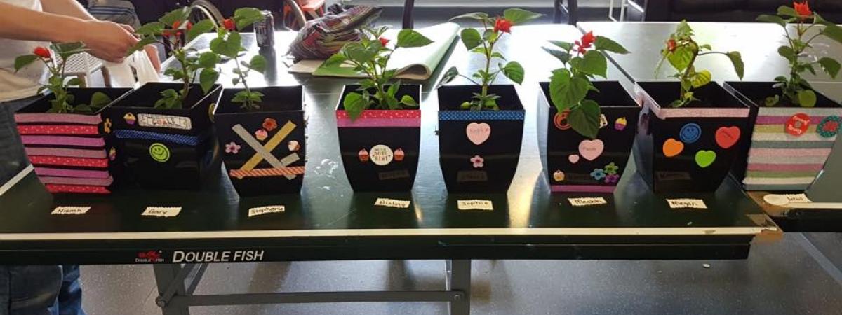 Young people enjoy potting plants to celebrate World Environment Day