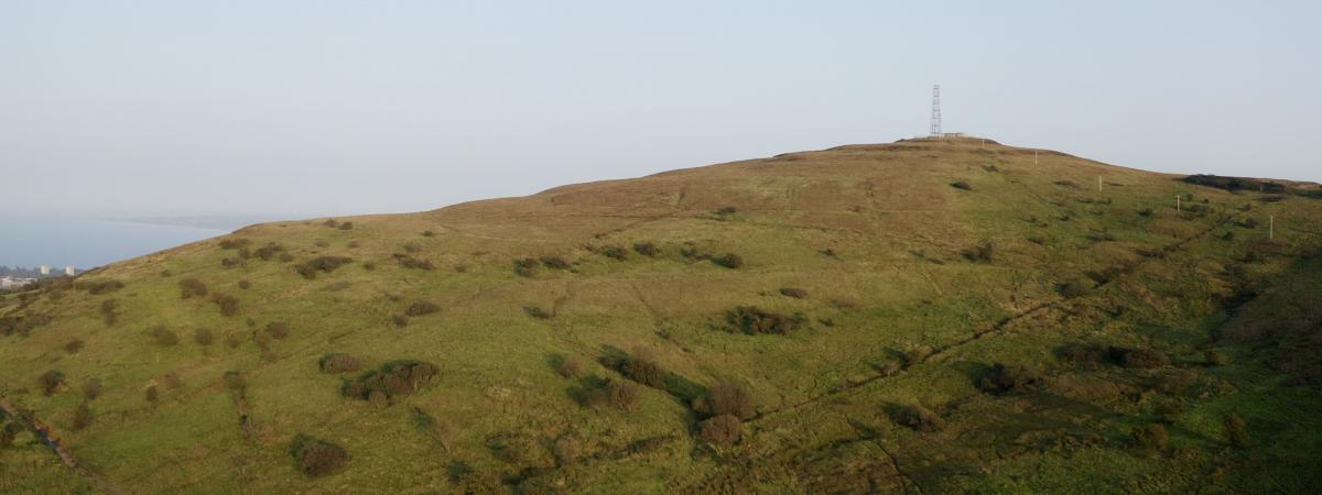 A panoramic view of the Woodland Trust's new site in the Belfast Hills