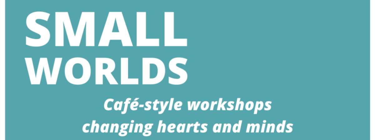 Small Worlds Workshops