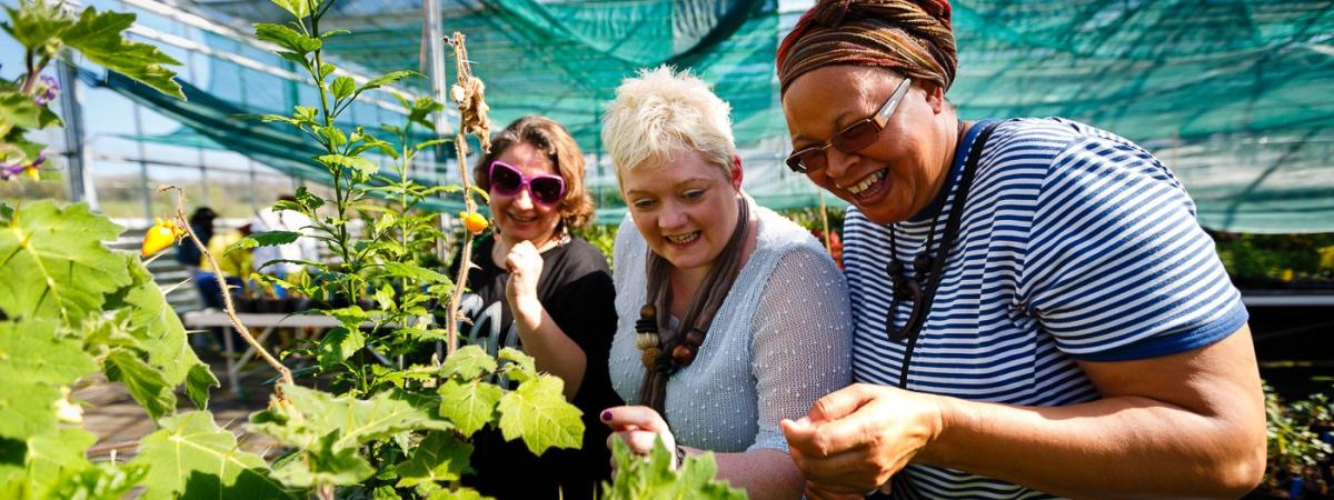 Portadown woman Elaine Livingston and other community activists visiting Eden Project Cornwall, funded by National Lottery. Elaine has been a Supporter of The Big Lunch over many years. www.thebiglunch.com