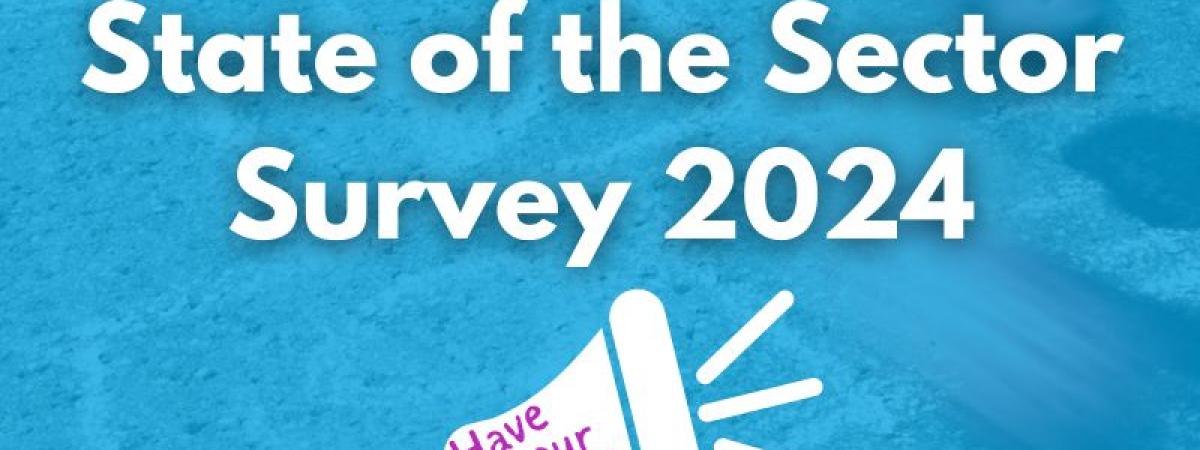 State of the Sector Survey
