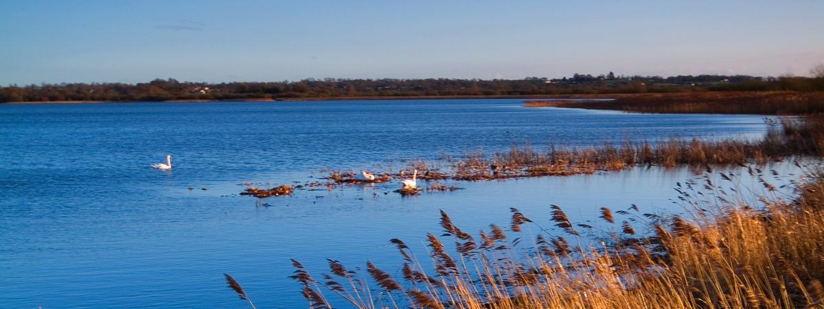 Lough Neagh, the largest freshwater lake in the UK and Ireland