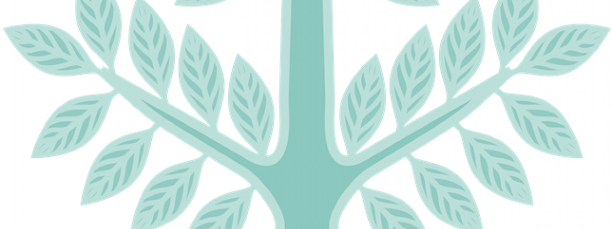 ADULT SAFEGUARDING CHAMPIONS (ASC) NETWORK ADULT SAFEGUARDING CHAMPIONS (ASC) NETWORK