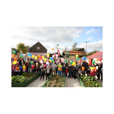 Events at our Shared Garden