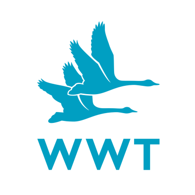 WWT
