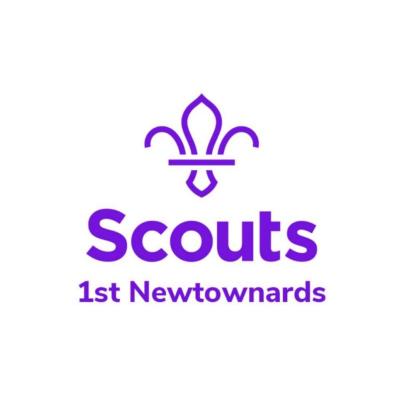 1st Newtownards Scout Group - fleur de lis in purple