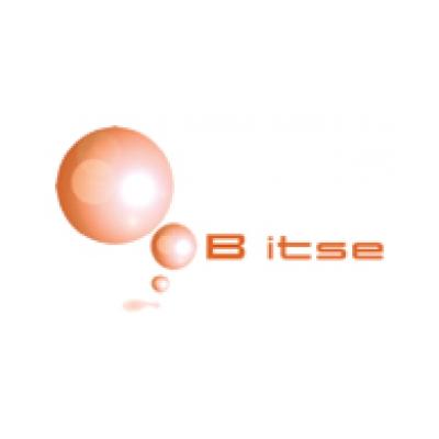 The BITSE project