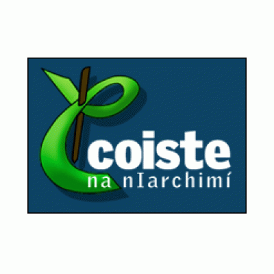 Coiste na nIarchimí