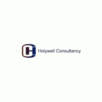 Holywell Consultancy