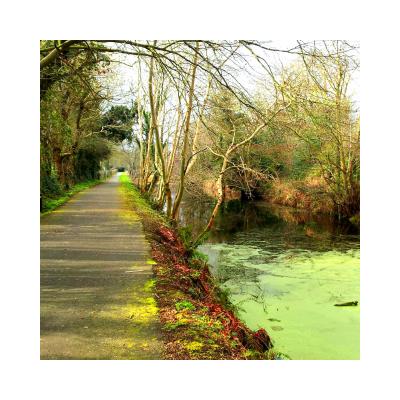 Northern Ireland Greenways