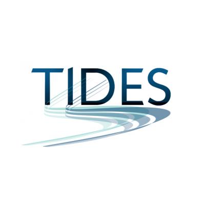 TIDES Training and Consultancy