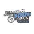 Northern Ireland Youth Forum Northern Ireland Youth Forum