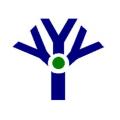 Youth Initiatives NI
