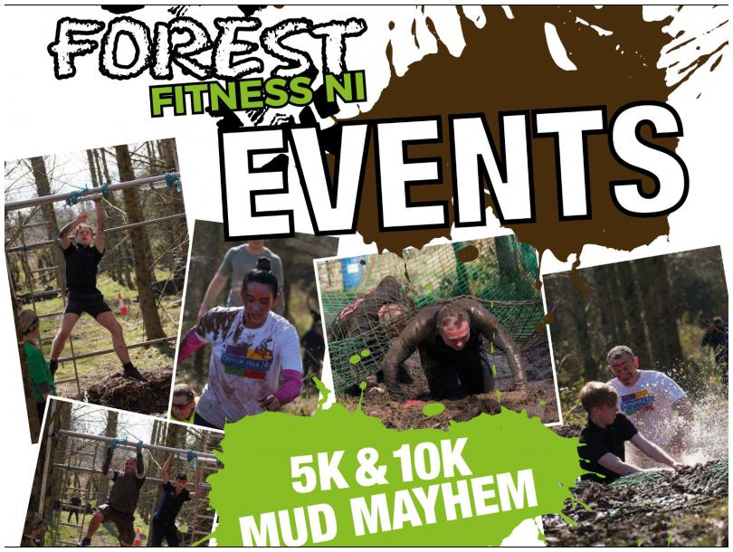 Forest Fitness