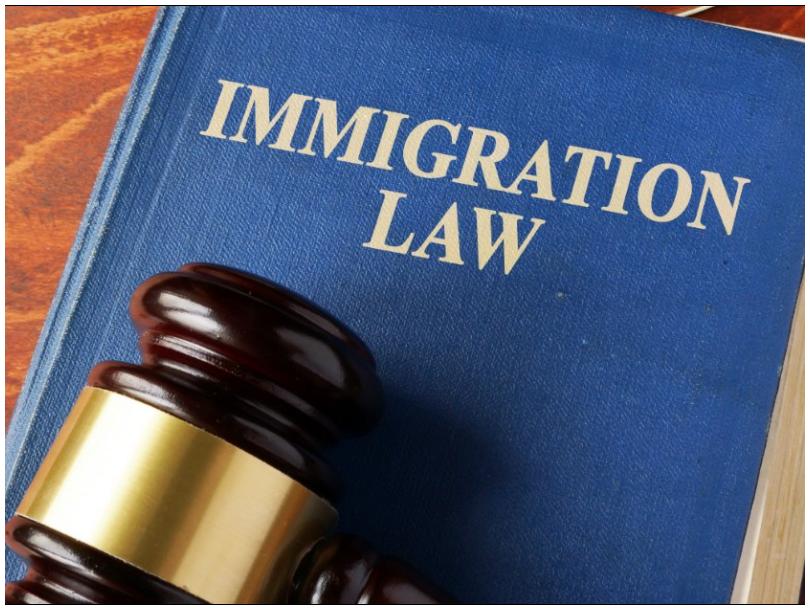 Immigration Law Training