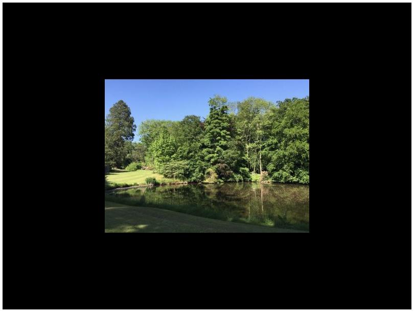 The Elmfield Weekly Pause, image of our lake.