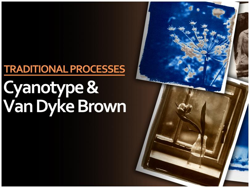 Cyanotype & Van Dyke Brown