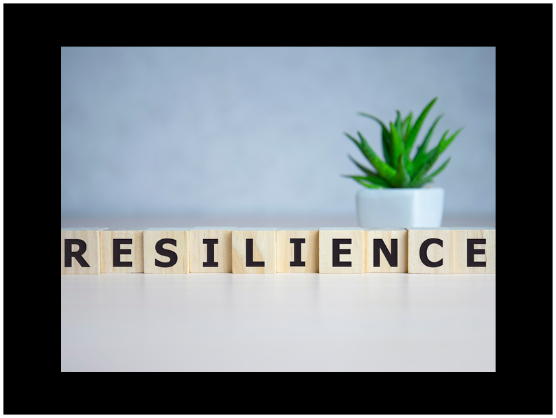 Building Resilience in Tough Times Summit