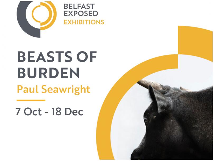 'Beasts of Burden' by Paul Seawright