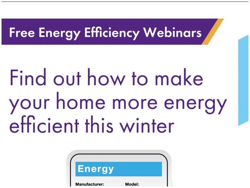 Energy Efficiency in the Home