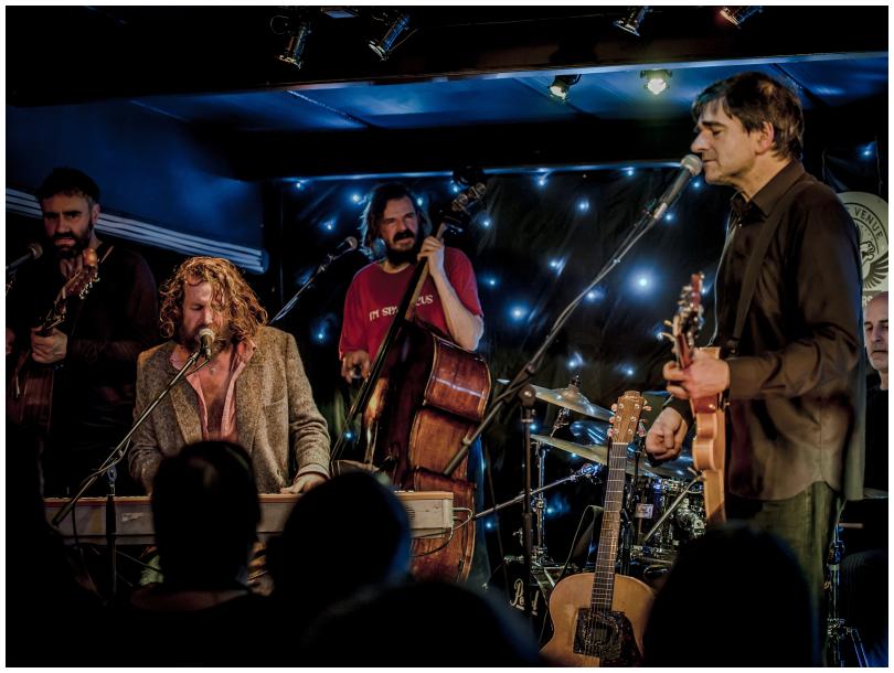 Hothouse Flowers