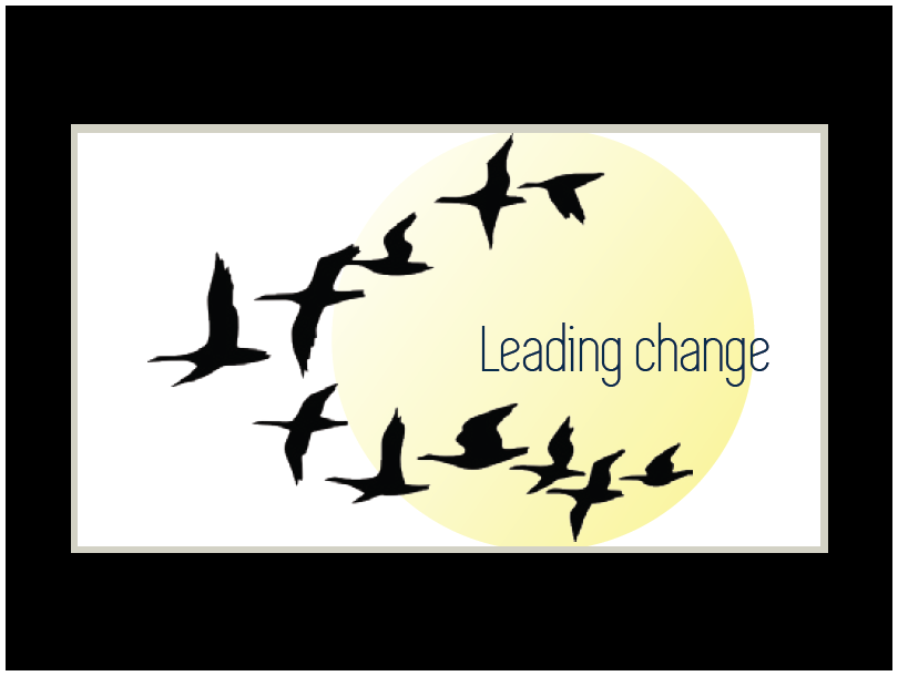 Leading Change for Senior Managers