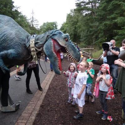 3-26 August Ring of Gullion Lúnasa Festival featuring Geotastic Extravaganza (11 August)