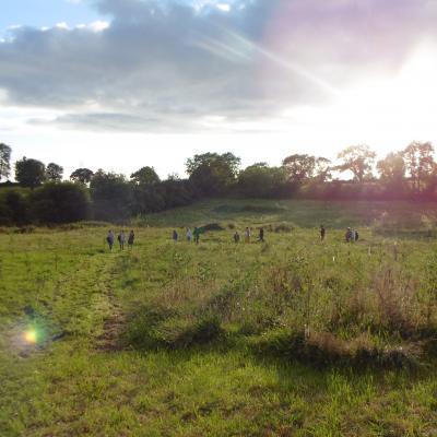 Seppy's Wood in County Armagh.  Photo courtesy of Dr Sally Walmsley