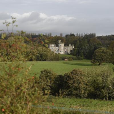 Cabin Wood with Killymoon Castle in the background