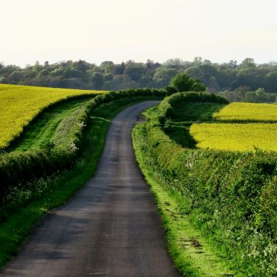 Country Road
