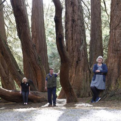Ann Irwin and Dr Sally Montgomery who nominated the winning tree, are joined by Alwyn Sinnamon, head gardener at Castlewellan