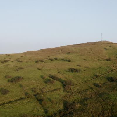 A panoramic view of the Woodland Trust's new site in the Belfast Hills
