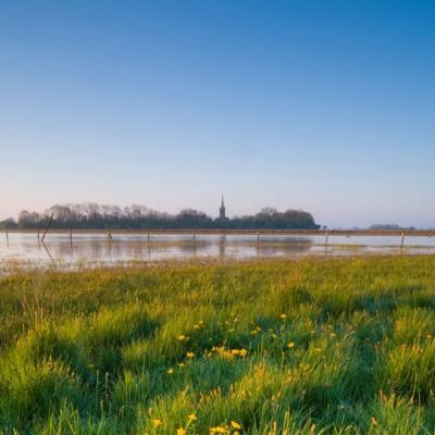 Lough Neagh Partnership Hosts Free Spring Online Talks Series