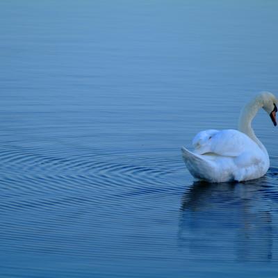 Public Invited to Share Views on Lough Neagh