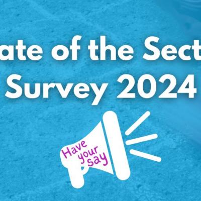 State of the Sector Survey