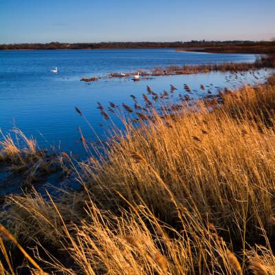 Lough Neagh, the largest freshwater lake in the UK and Ireland