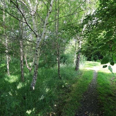Easter fun at Bangor’s Kilcooley Wood
